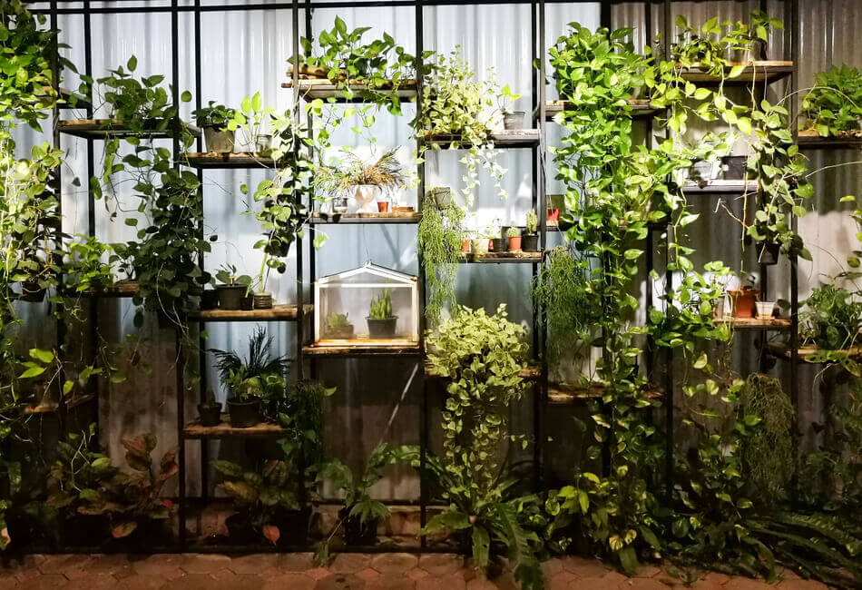 Έξυπνες Ιδέες για Οικονομική Διακόσμηση Κήπου-Τοποθετήστε ράφια στους τοίχους του κήπου-giftland